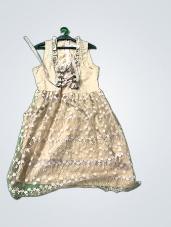 Women's Beige Dress