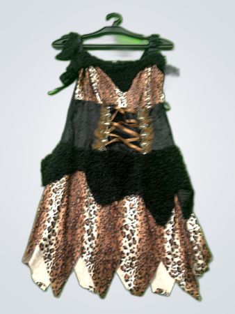 Leopard Print Faux Fur Trim Mini Dress