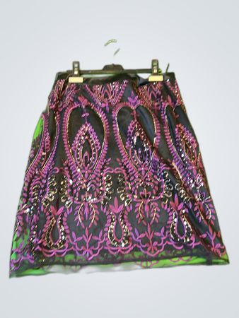 Zara Black Label Embroidered Mini Skirt