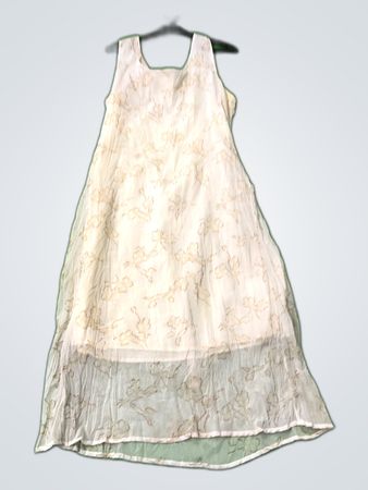 Nichelly Floral Sleeveless Dress