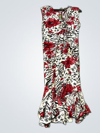 Zara Floral Zebra Print Maxi Dress