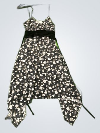 Progresso Black and White Floral Mini Dress