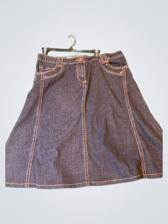 Duttons Denim Mini Skirt