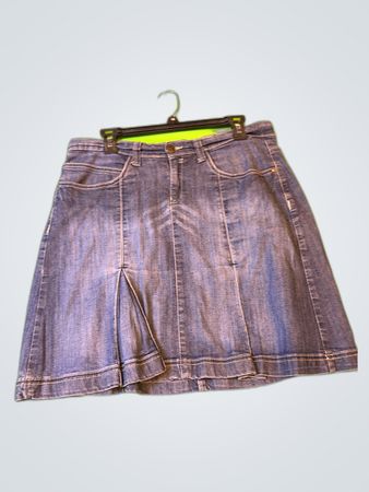 Lucia Classics Denim Mini Skirt