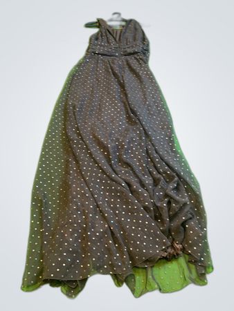 Zara Sequined Maxi Dress