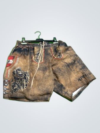 ALPIN Brown Shorts