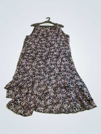 Express Signature Floral Print Maxi Dress