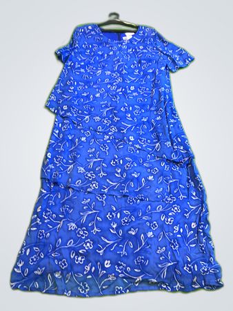 Canada Blue Floral Printed Dress
