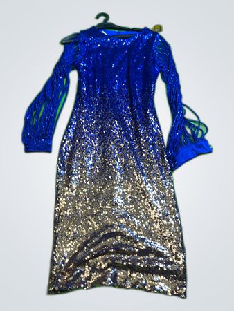 Sequined Dress
