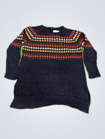 The Limited Navy Multicolor Knit Sweater