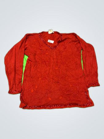 CLIMAX by Sasha Embroidered V-Neck Blouse