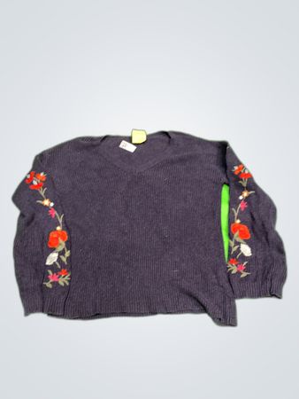 American Eagle Embroidered V-Neck Sweater