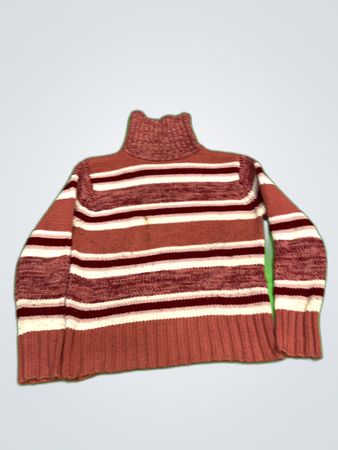 Striped Turtleneck Sweater