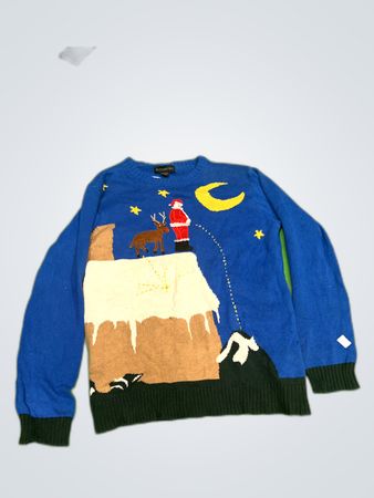 Blizzard Bay Blue Graphic Knit Sweater