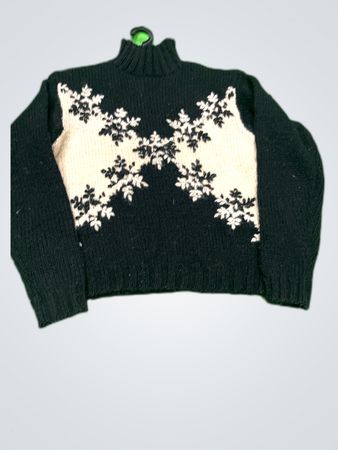 Express Turtleneck Sweater