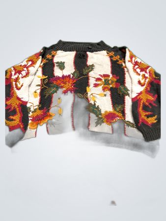 Free by Reed Embroidered Knit Sweater