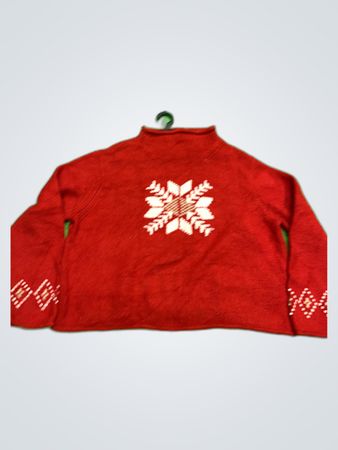 Sonoma Red Turtleneck Sweater