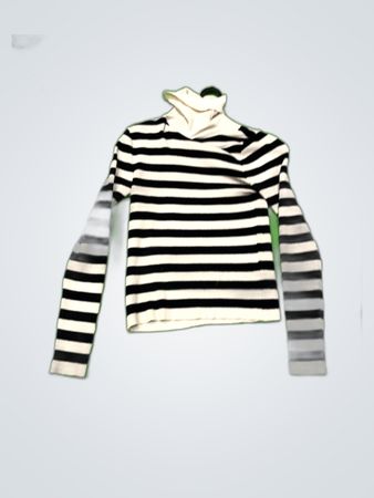 Striped Long Sleeve Turtleneck Sweater