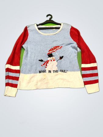 Isabella's Closet 'What in the Hail?' Graphic Knit Sweater