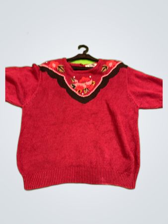 Seguer Embroidered Knit Sweater