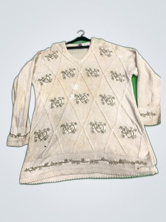 Adrian Jordan Embroidered V-Neck Knit Sweater
