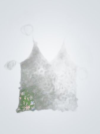 Upcycled Zara Lace Embroidered Camisole Top