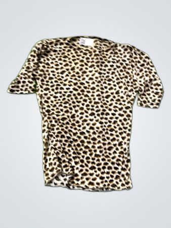 Versace Leopard Print Knit Top