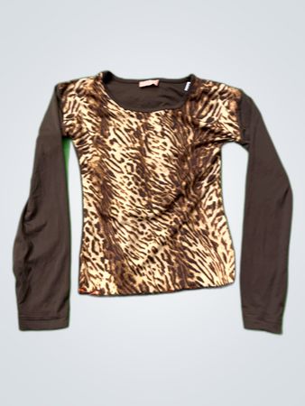 Little Rose Leopard Print Long Sleeve Blouse