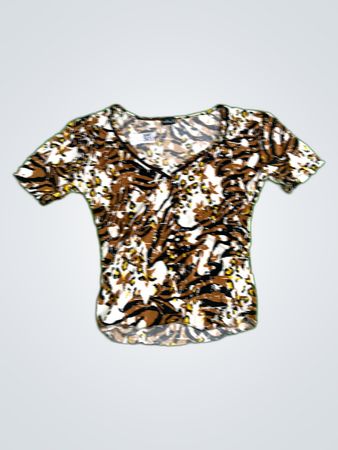 Influx Animal Print V-Neck Blouse