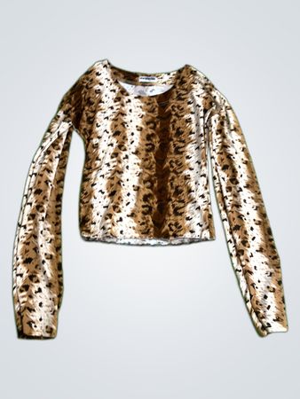 Sunshine Leopard Print Long Sleeve Top