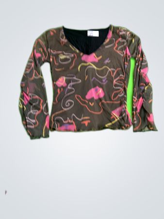 Printed Sheer Long Sleeve Blouse