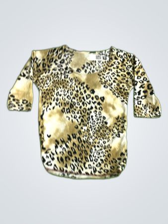 Leopard Print Top