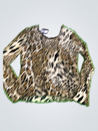 Versace Leopard Print Long Sleeve Blouse