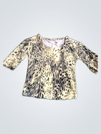 Zara Leopard Print Crop Top