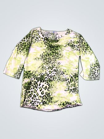 Magna Green Leopard Print Top