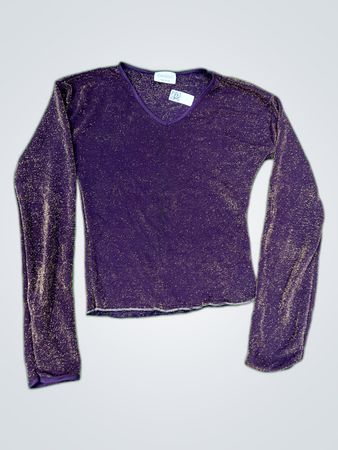 Sabo Purple Sequin V-Neck Long Sleeve Blouse