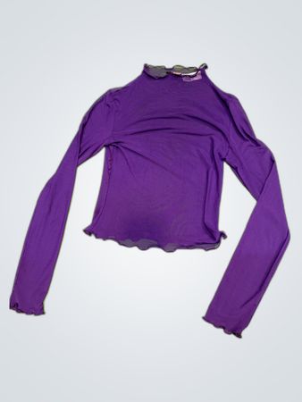 Purple Sheer Long Sleeve Blouse