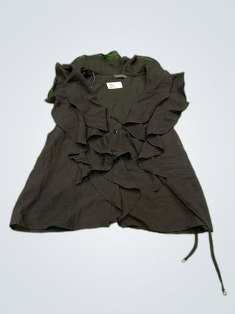 Zara Sheer Ruffle Blouse