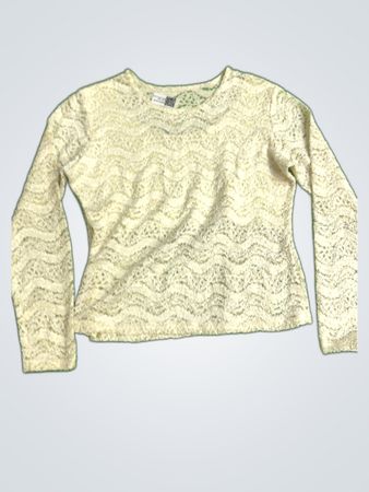 H&M Long Sleeve Lace Blouse