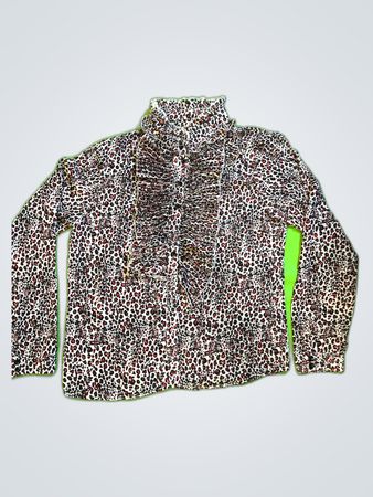 Leopard Print Blouse