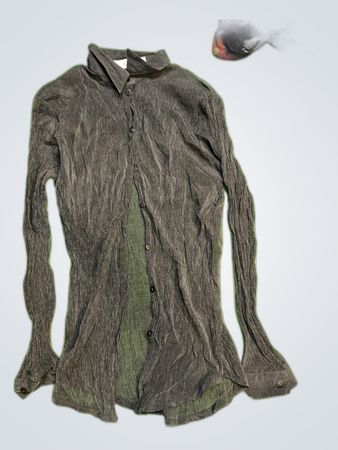 D'Auvry Sheer Button-Up Shirt