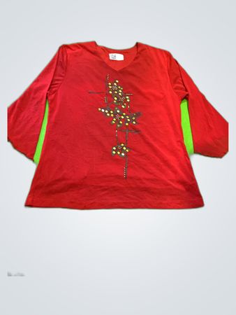 Unbranded Red Printed V-Neck Blouse
