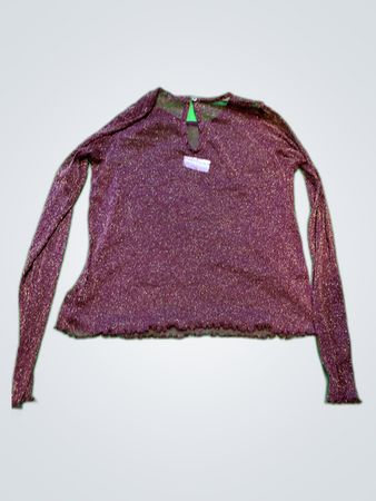 Sheer Glitter Long Sleeve Blouse