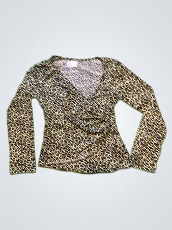 Leopard Print Long Sleeve Top