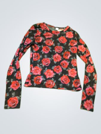 Unbranded Printed Rose Mesh Long-Sleeve Blouse