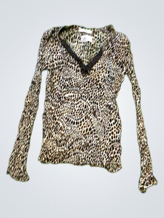 Zara Leopard Print Long Sleeve Blouse