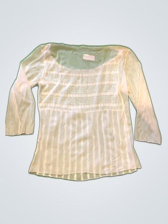 Zara Sheer Smocked Blouse