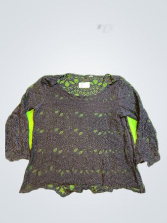 Unbranded Sheer Black Lace Blouse