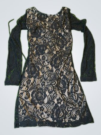 Zara Black Lace Long Sleeve Mini Dress