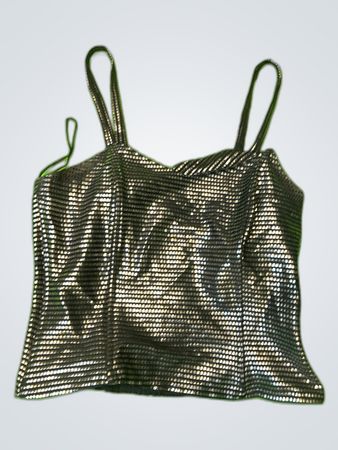 Metallic Silver Bustier Top
